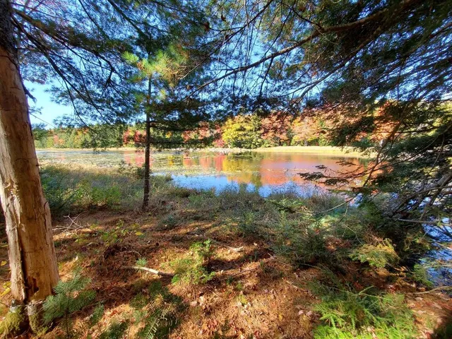 $89,000 | 0 Clifford Lake Road, Princeton, ME 04668