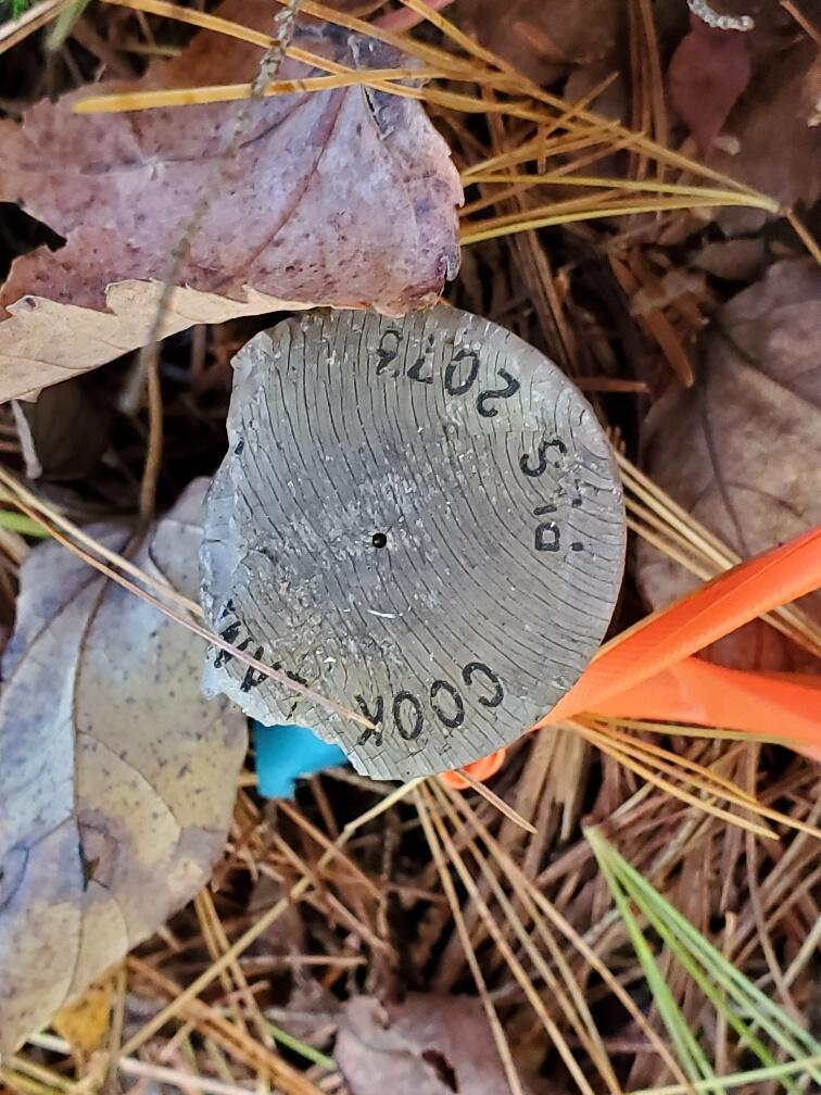 0 Clifford Lake Road Princeton, ME 04668 - Photo 11 of 32 1 of the capped pins