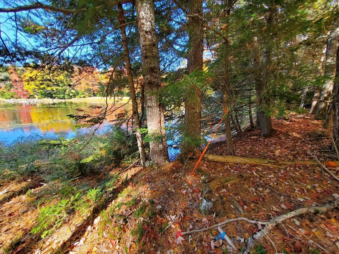 0 Clifford Lake Road Princeton, ME 04668 - Photo 12 of 32 sit & fish
