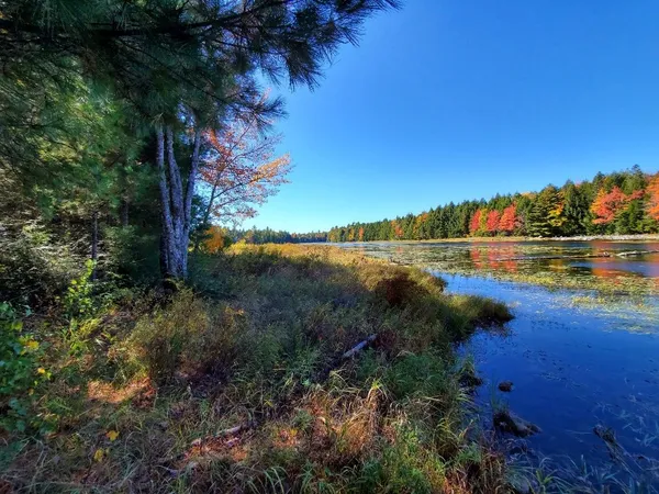 $89,000 | 0 Clifford Lake Road, Princeton, ME 04668