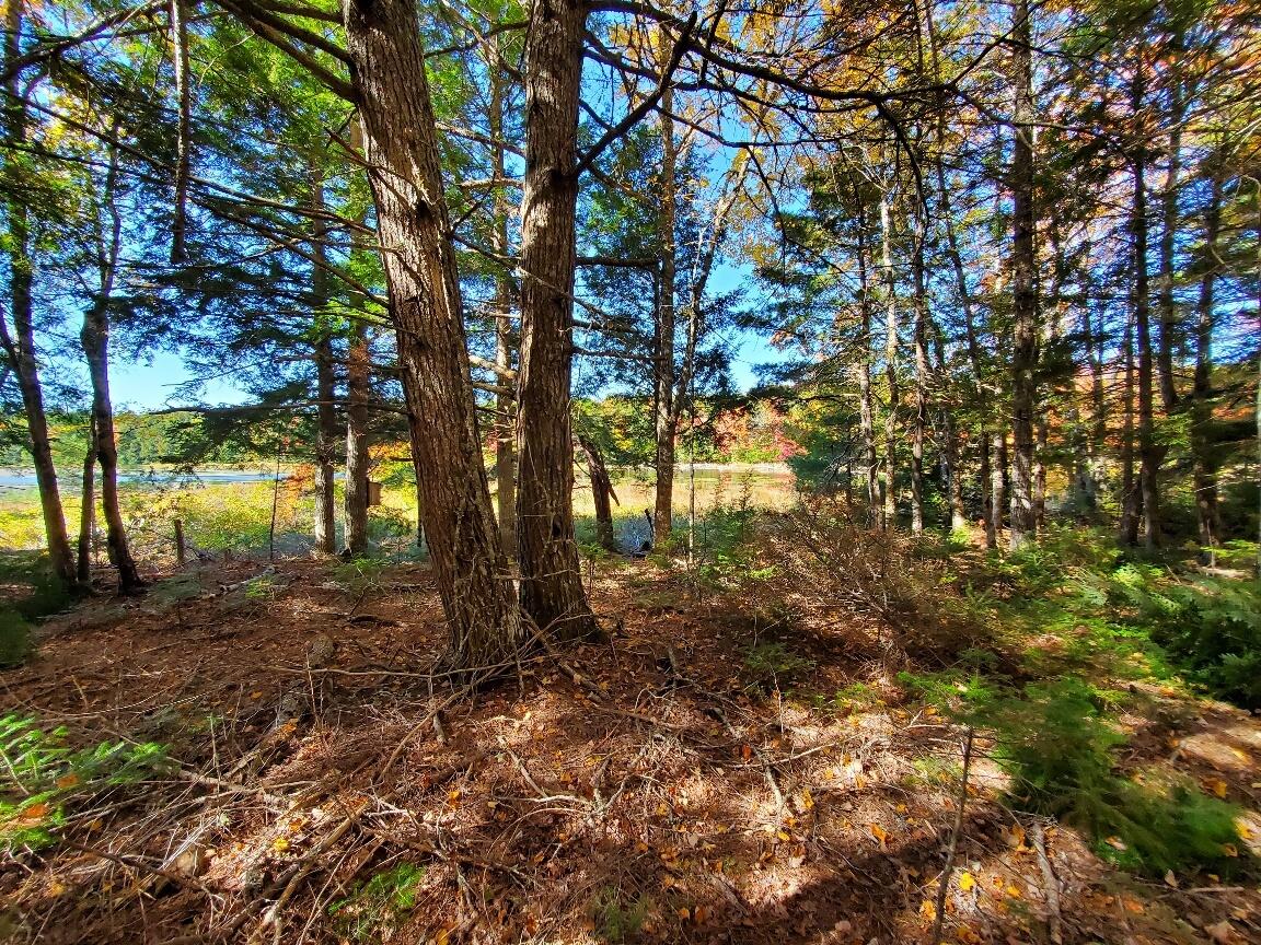 0 Clifford Lake Road Princeton, ME 04668 - Photo 20 of 32 looking out towards stream