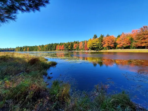 $89,000 | 0 Clifford Lake Road, Princeton, ME 04668