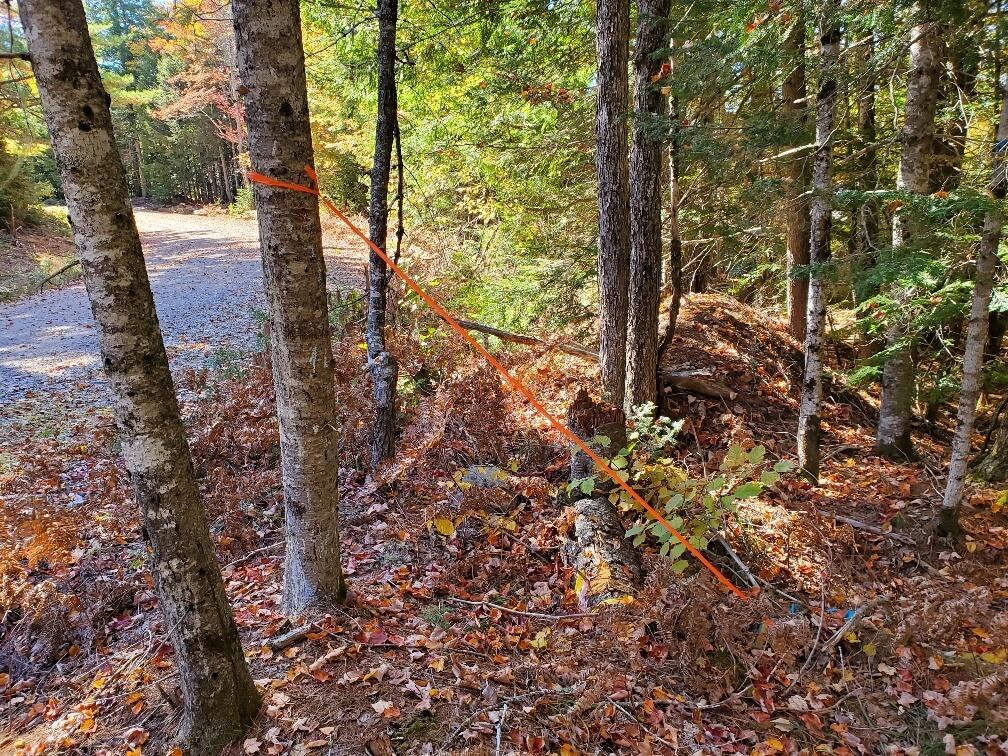 0 Clifford Lake Road Princeton, ME 04668 - Photo 22 of 32 other pin near road