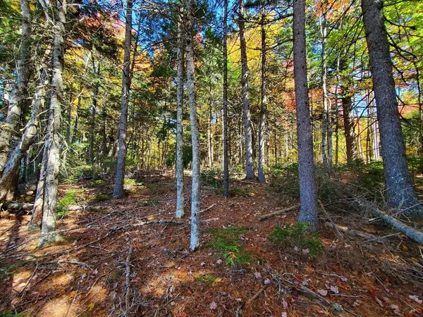 $89,000 | 0 Clifford Lake Road, Princeton, ME 04668