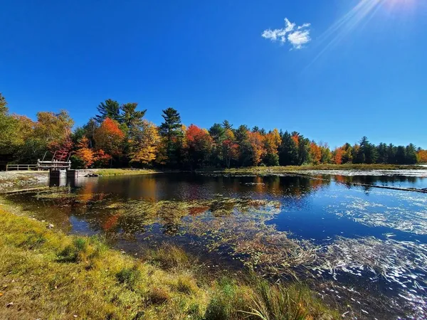 $89,000 | 0 Clifford Lake Road, Princeton, ME 04668