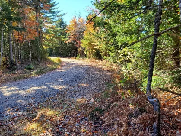 $89,000 | 0 Clifford Lake Road, Princeton, ME 04668