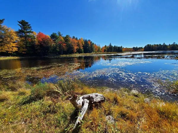 $89,000 | 0 Clifford Lake Road, Princeton, ME 04668