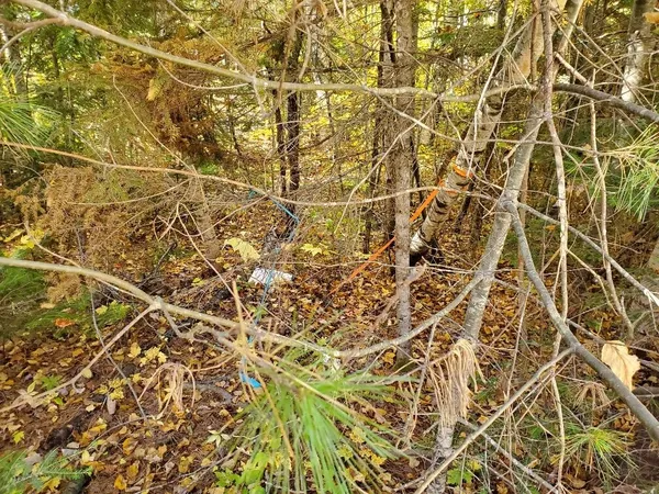 $89,000 | 0 Clifford Lake Road, Princeton, ME 04668