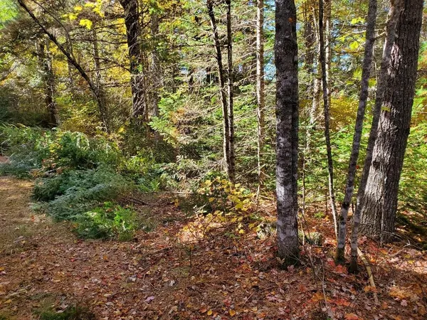$89,000 | 0 Clifford Lake Road, Princeton, ME 04668
