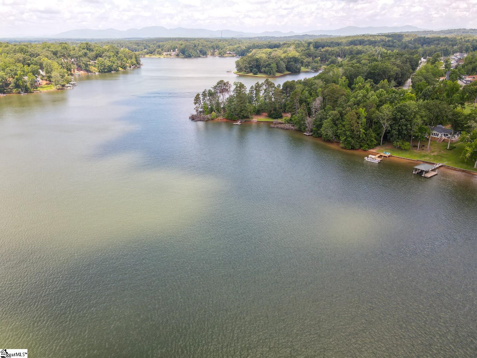 454 Chapman Drive Inman, SC 29349 - Photo 8 of 41