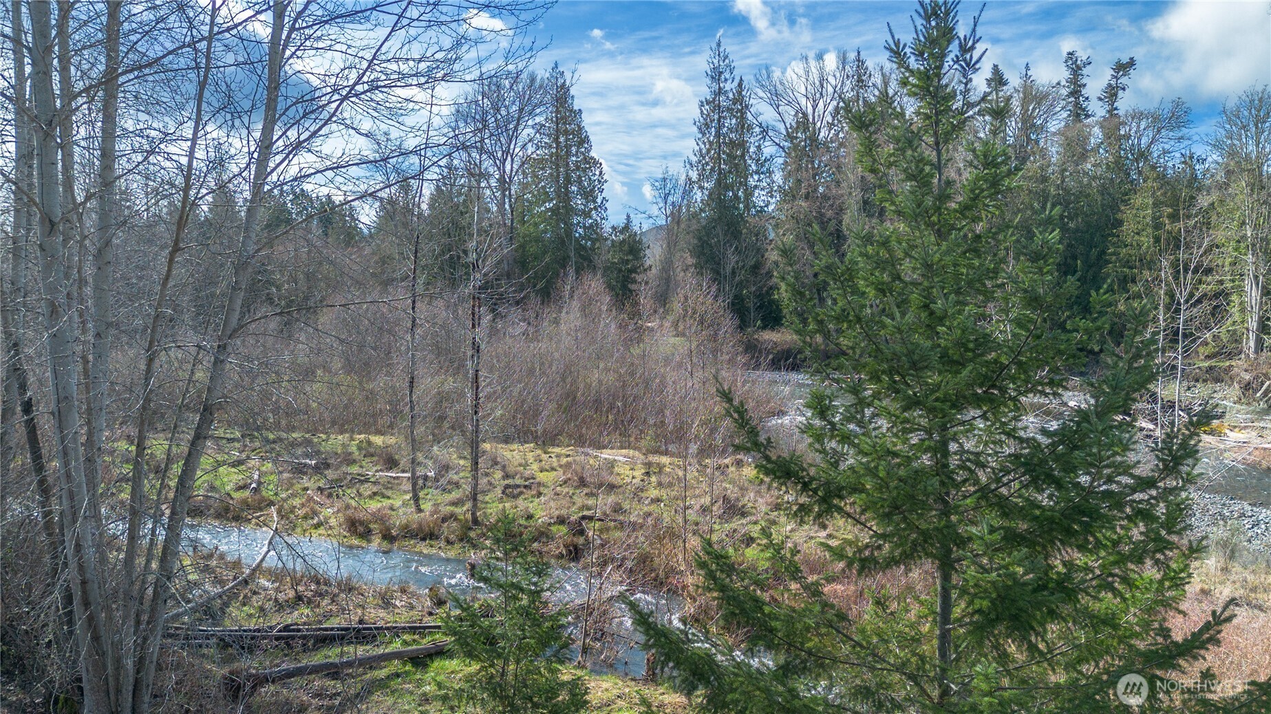 346 Dungeness Meadows Sequim, WA 98382 - Photo 31 of 36 a view of a forest that has large trees