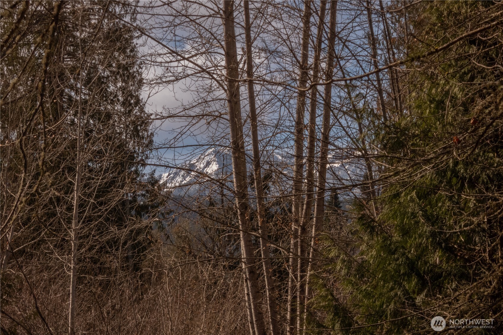 346 Dungeness Meadows Sequim, WA 98382 - Photo 34 of 36 a view of a yard