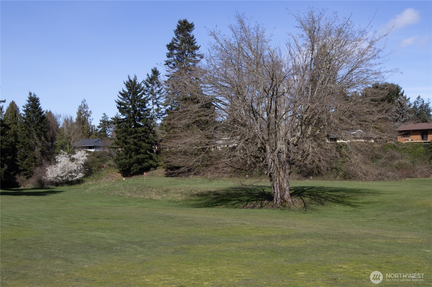 346 Dungeness Meadows Sequim, WA 98382 - Photo 36 of 36 a view of grassy field with trees