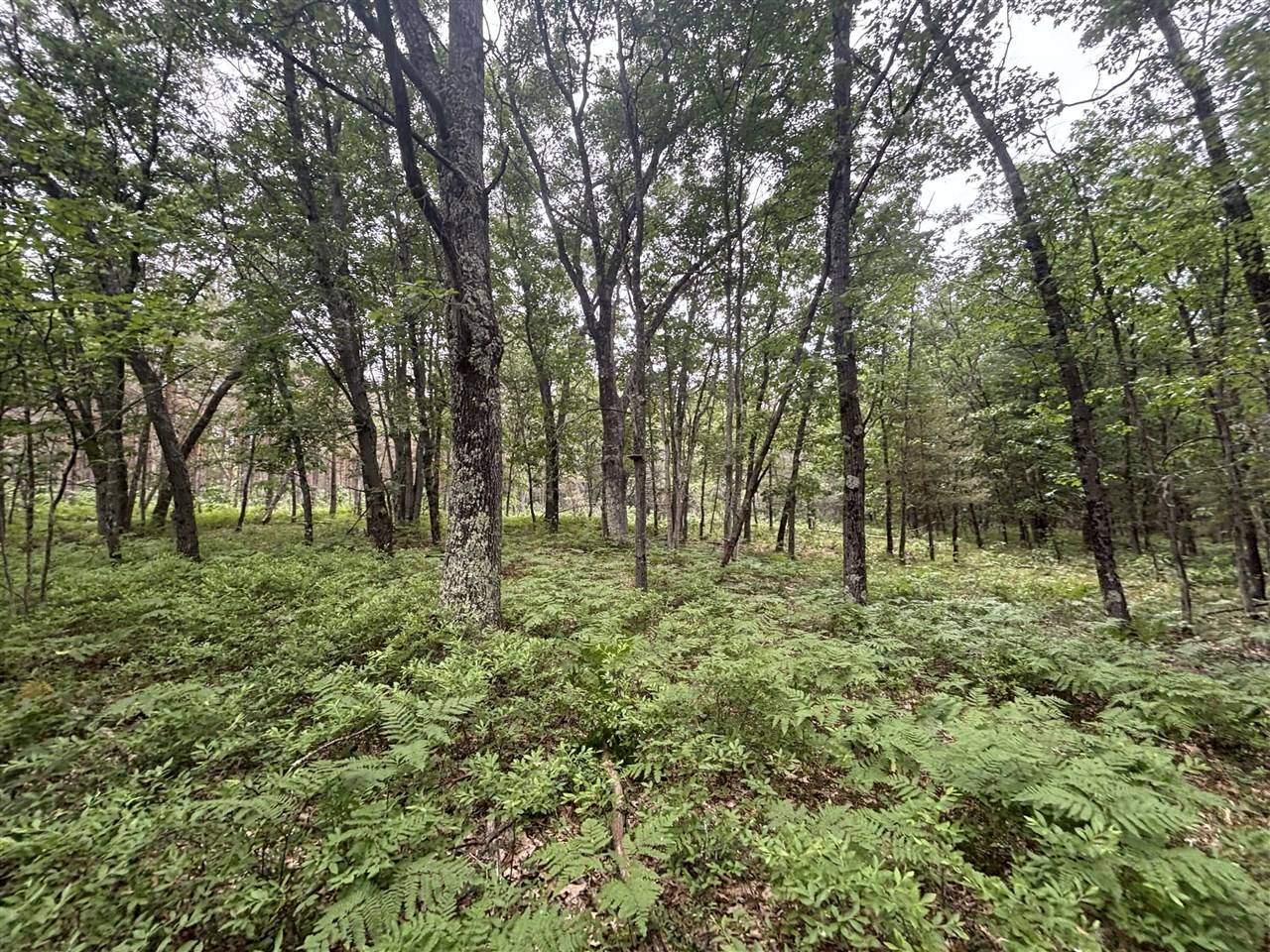 7376 West 7 Mile Road Mesick, MI 49668 - Photo 20 of 26 Gallery Image 20