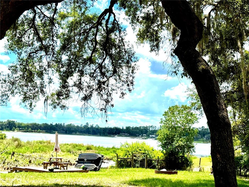 208 Ashley Street Hawthorne, FL 32640 - Photo 4 of 32 a view of a lake with a big yard