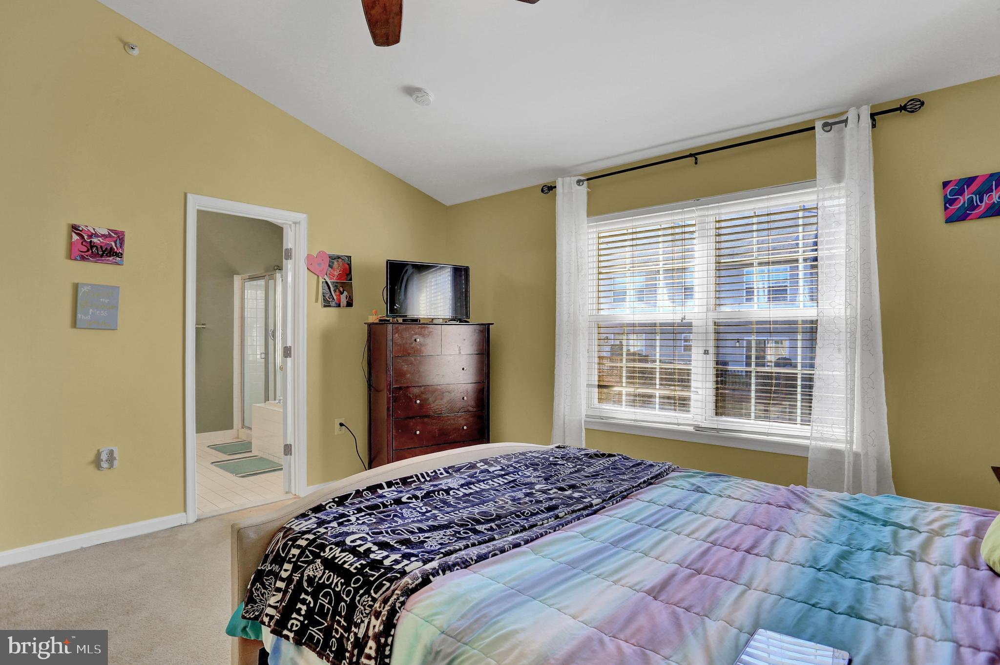 4712 Ashforth Way Owings Mills, MD 21117 - Photo 16 of 38 Vaulted Ceiling in Primary Bedroom