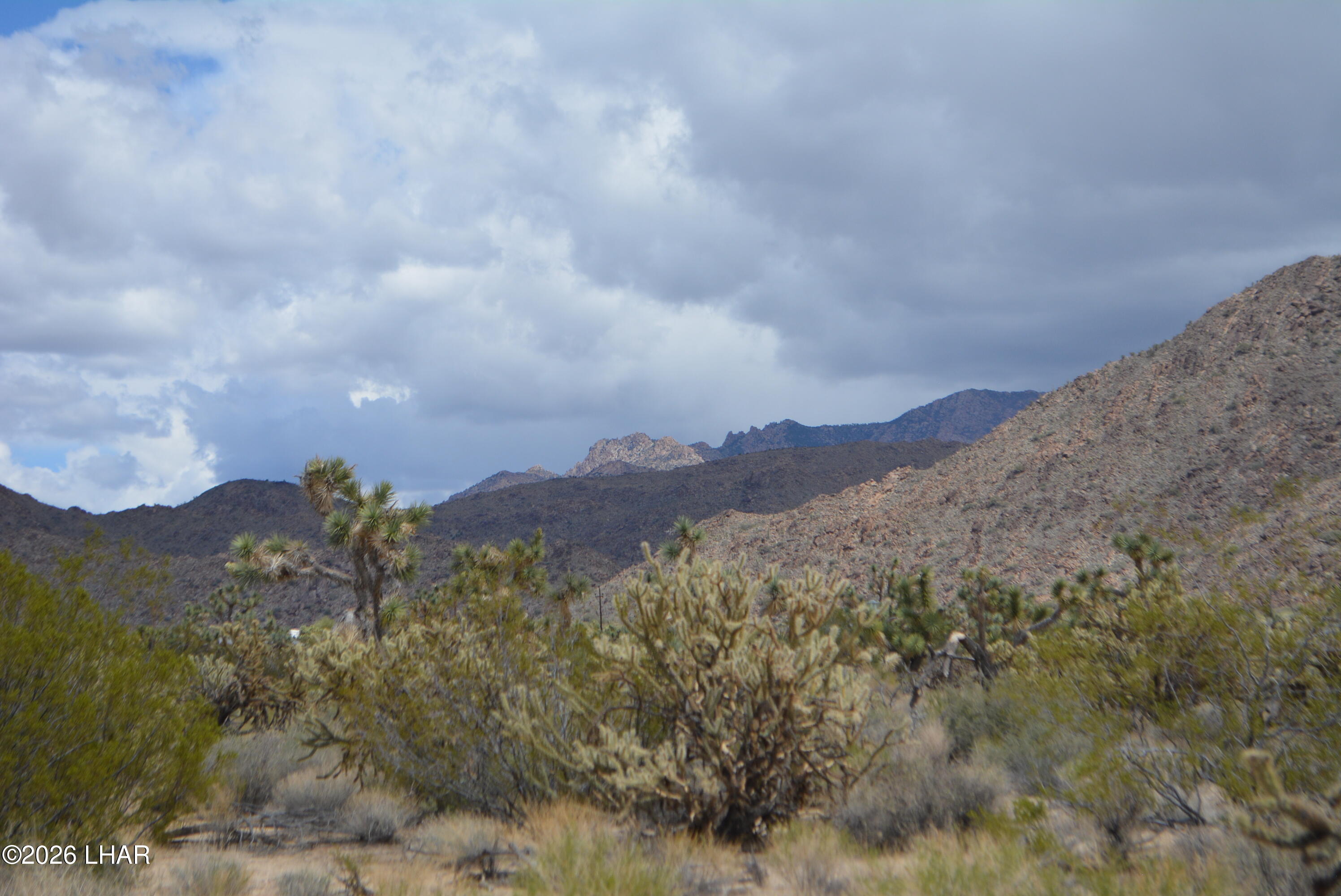 11900 Alan Road Yucca, AZ 86438 - Photo 68 of 93 DSC_1417