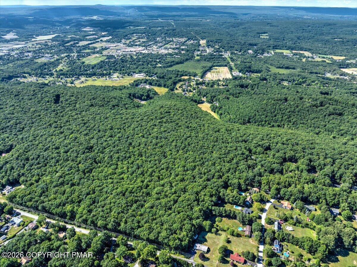 Blue Ridge Rd Road Saylorsburg, PA 18353 - Photo 12 of 18 10-DJI_20260619163700_0668_D