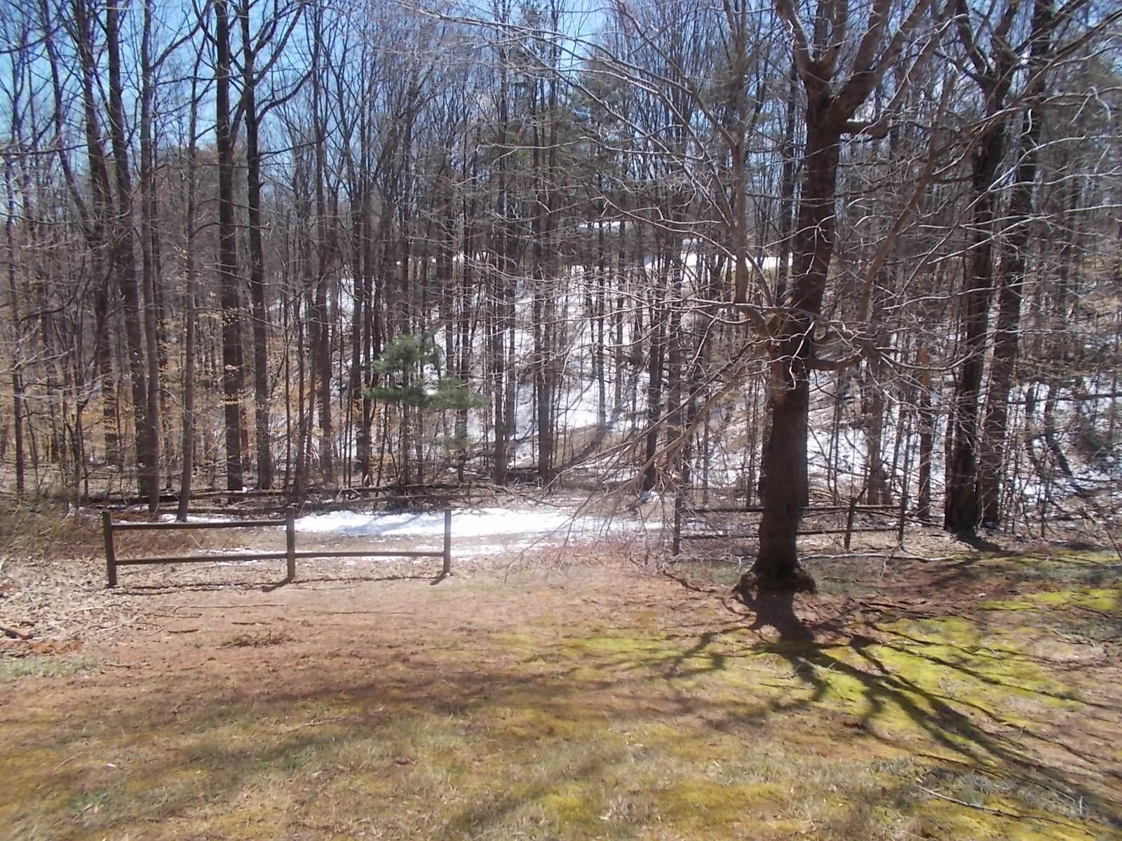 3276 Oak Level Road Bassett, VA 24055 - Photo 12 of 37 DSCN7076