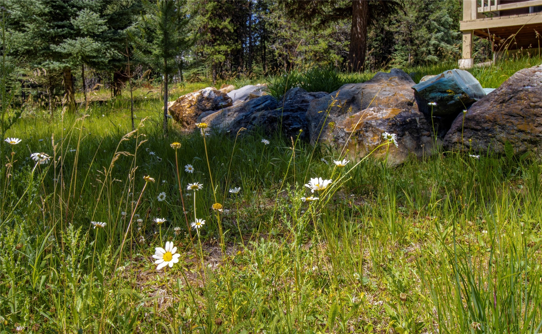 201 Swamp Crk Road Trego, MT 59934 - Photo 30 of 39 Gallery Image 30