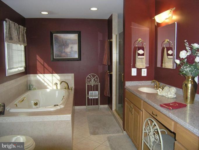 10010 Ellis Road Manassas, VA 20111 - Photo 10 of 26 Master Bath