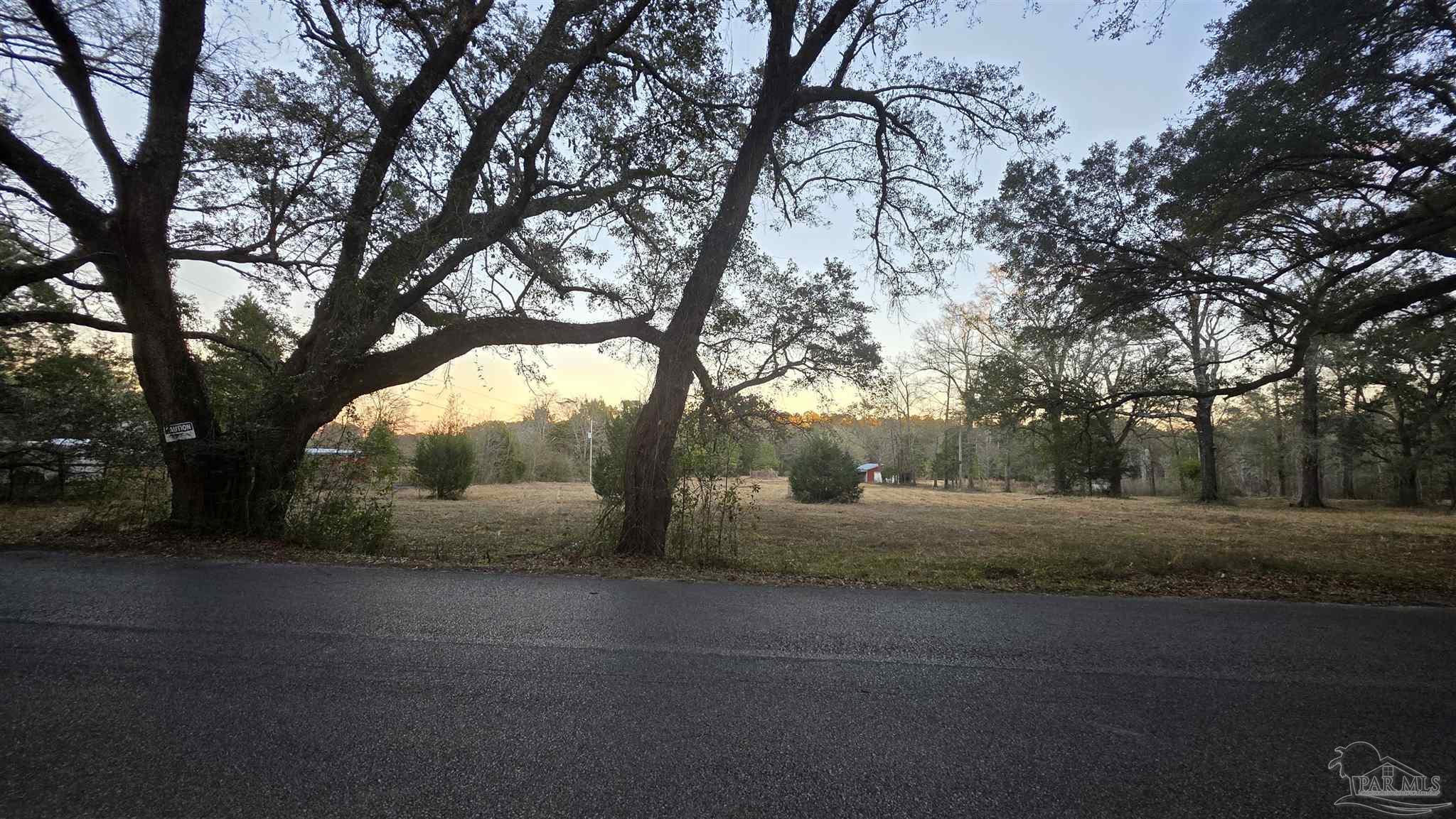 Lot 3 Tidwell Road Pace, FL 32571 - Photo 5 of 8 a view of outdoor space with tree s