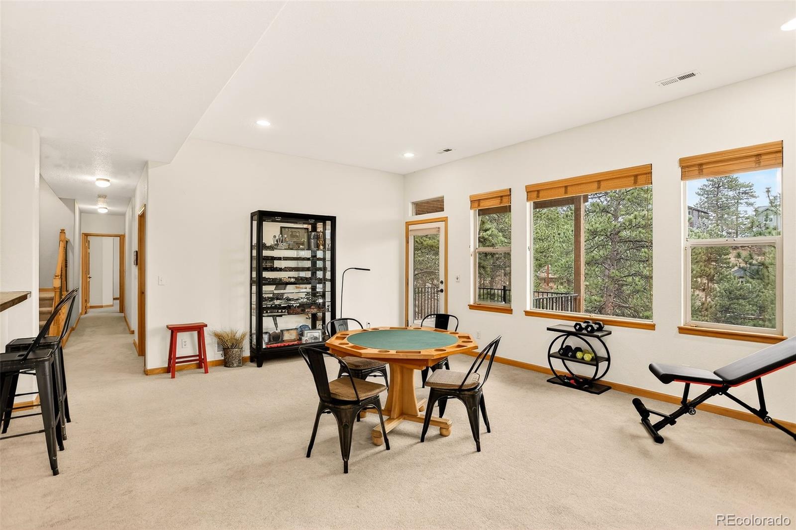 26268 Snowdrop Road Evergreen, CO 80439 - Photo 25 of 48