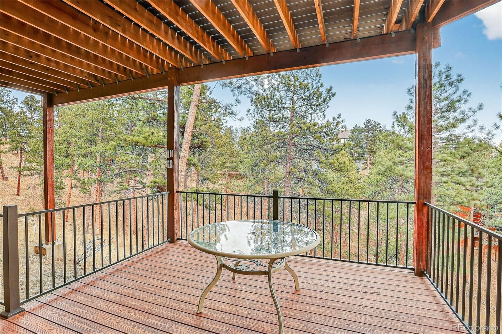 26268 Snowdrop Road Evergreen, CO 80439 - Photo 43 of 48