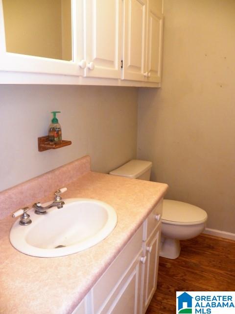 3952 Curry Station Road Munford, AL 36268 - Photo 19 of 49
