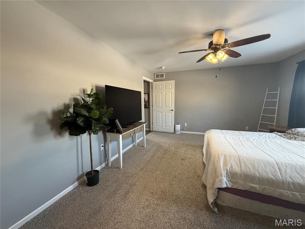 115 Stone Rdg Drive Hannibal, MO 63401 - Photo 10 of 21