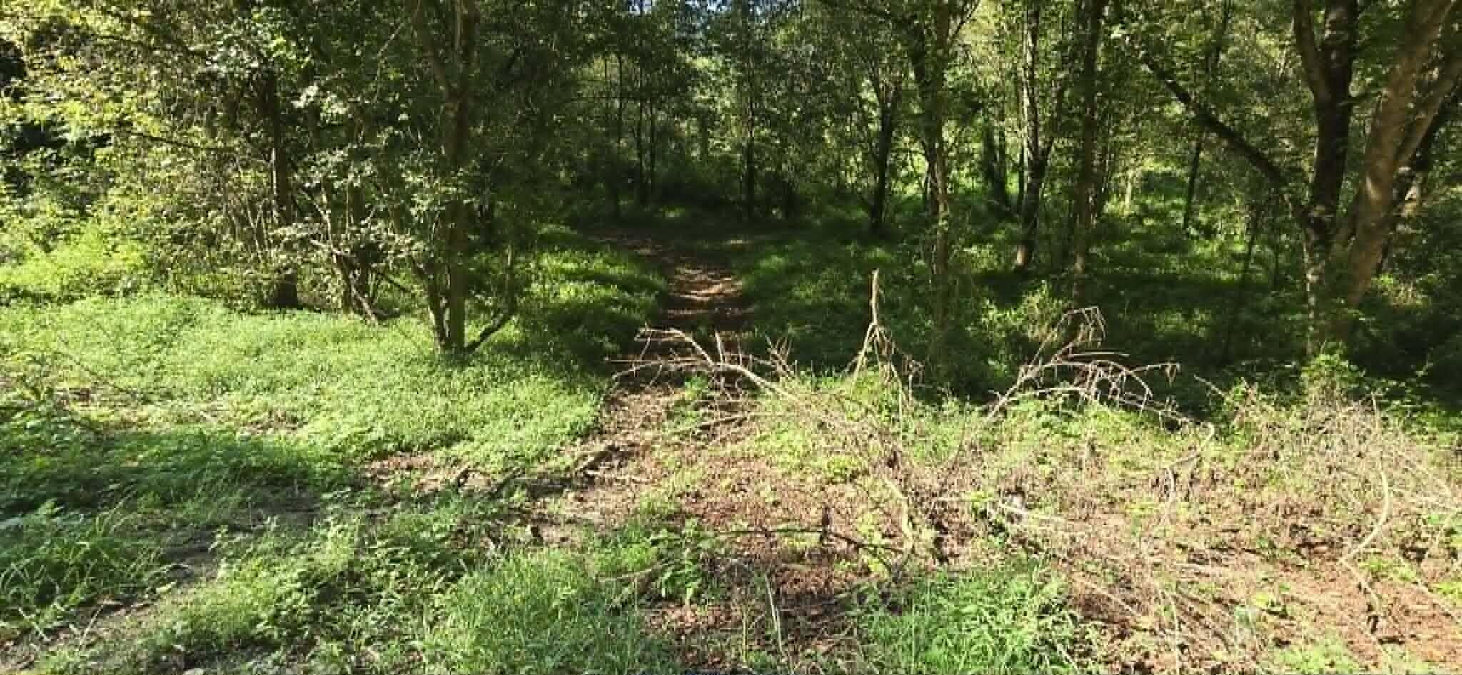 9999 Dora Clark Branch Road Flat Lick, KY 40935 - Photo 12 of 33 9999 Dora Clark