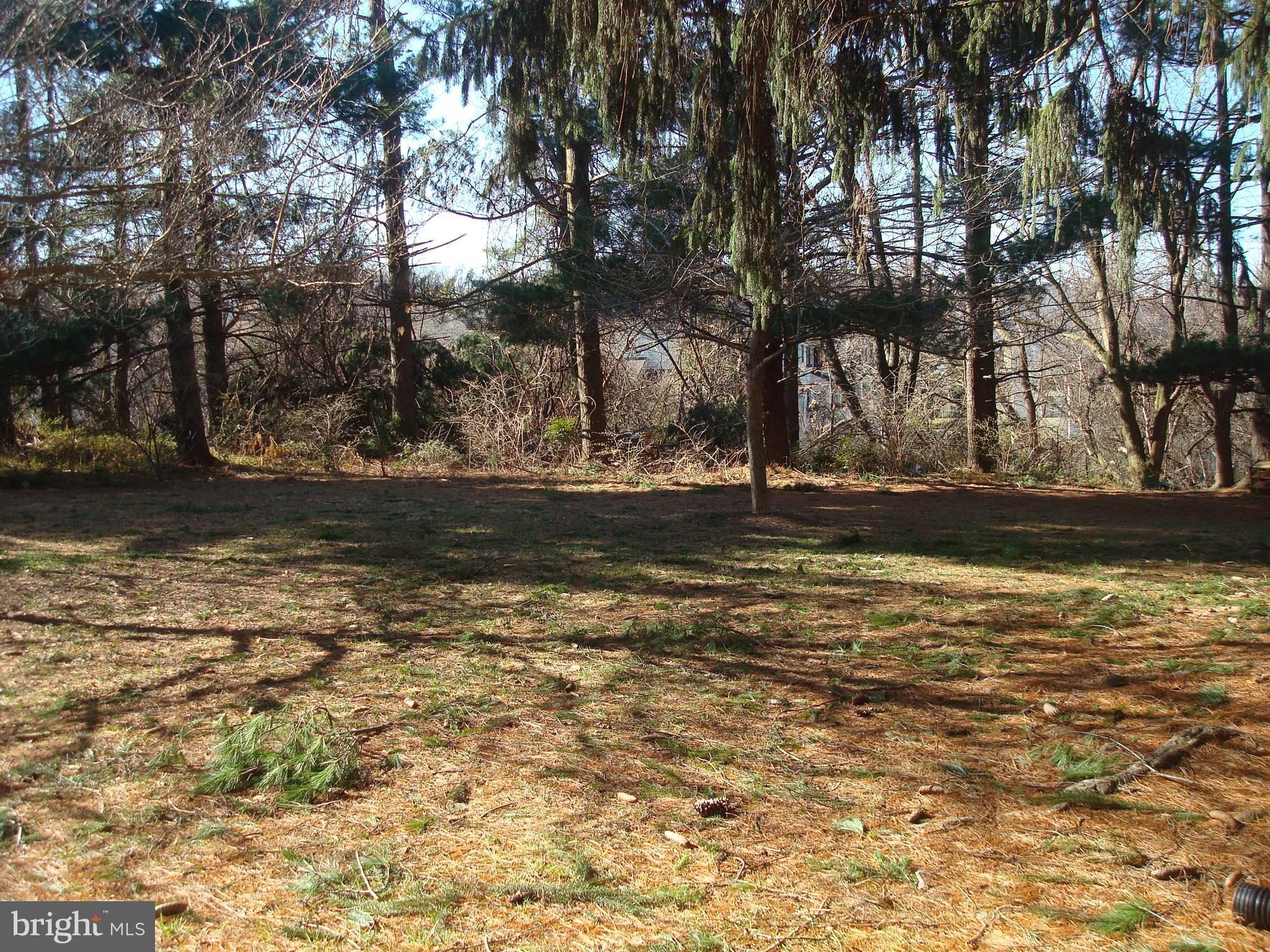 18612 Walkers Choice Road, Unit 2 Gaithersburg, MD 20886 - Photo 22 of 26 Backs to trees!
