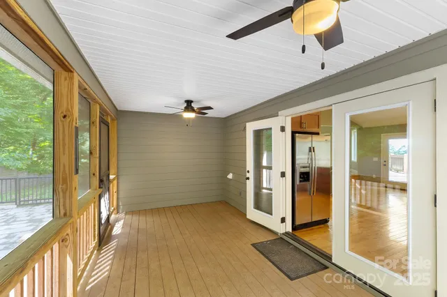 a view of a forest with trees in the background