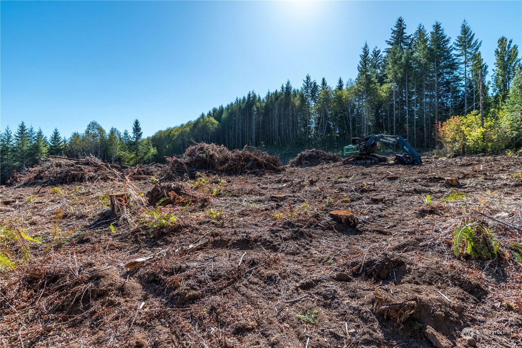 0 Hunter Road Longview, WA 98632 - Photo 5 of 10 a view of a yard with a tree