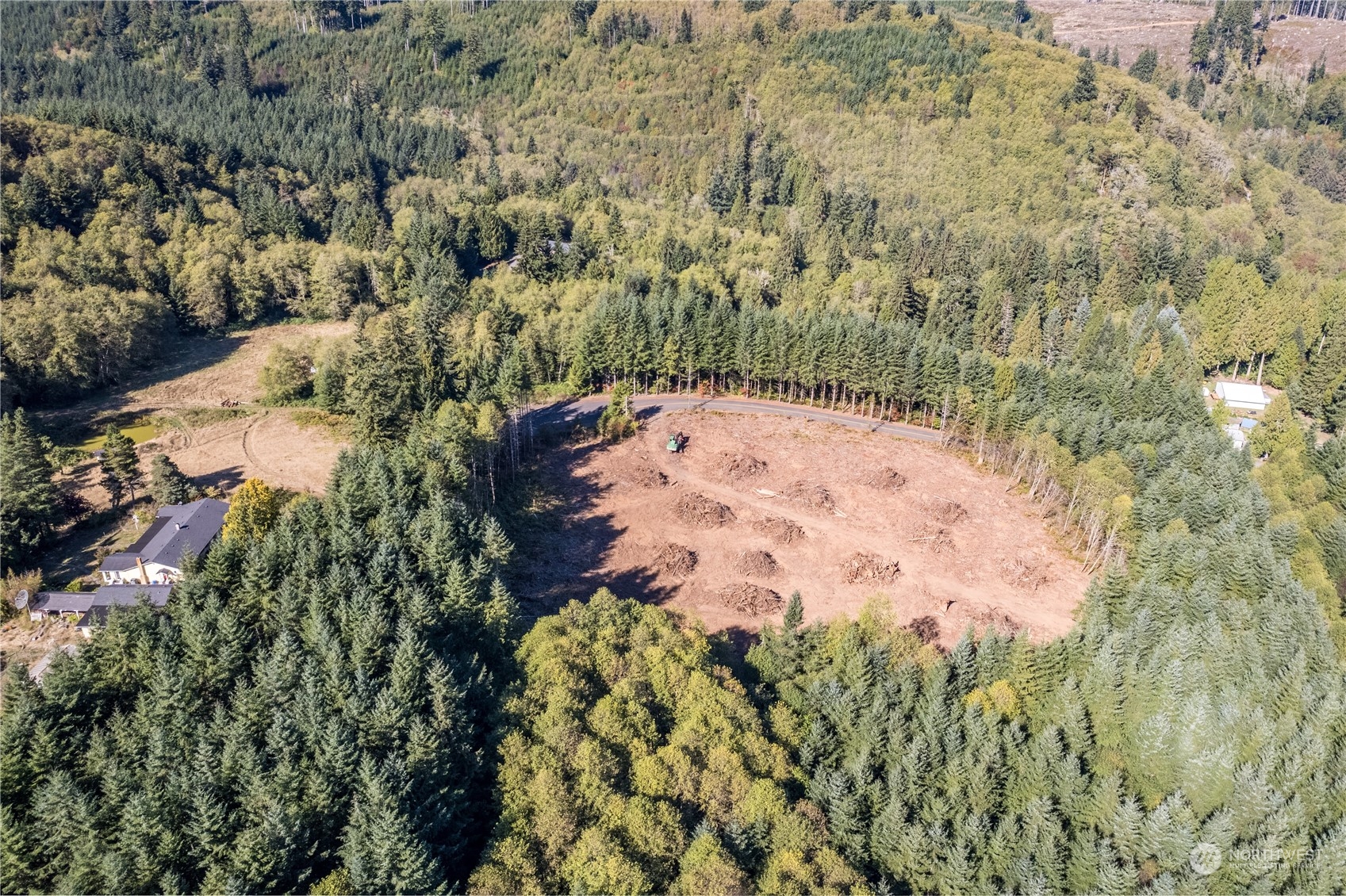0 Hunter Road Longview, WA 98632 - Photo 7 of 10 a view of a bunch of flowers and trees