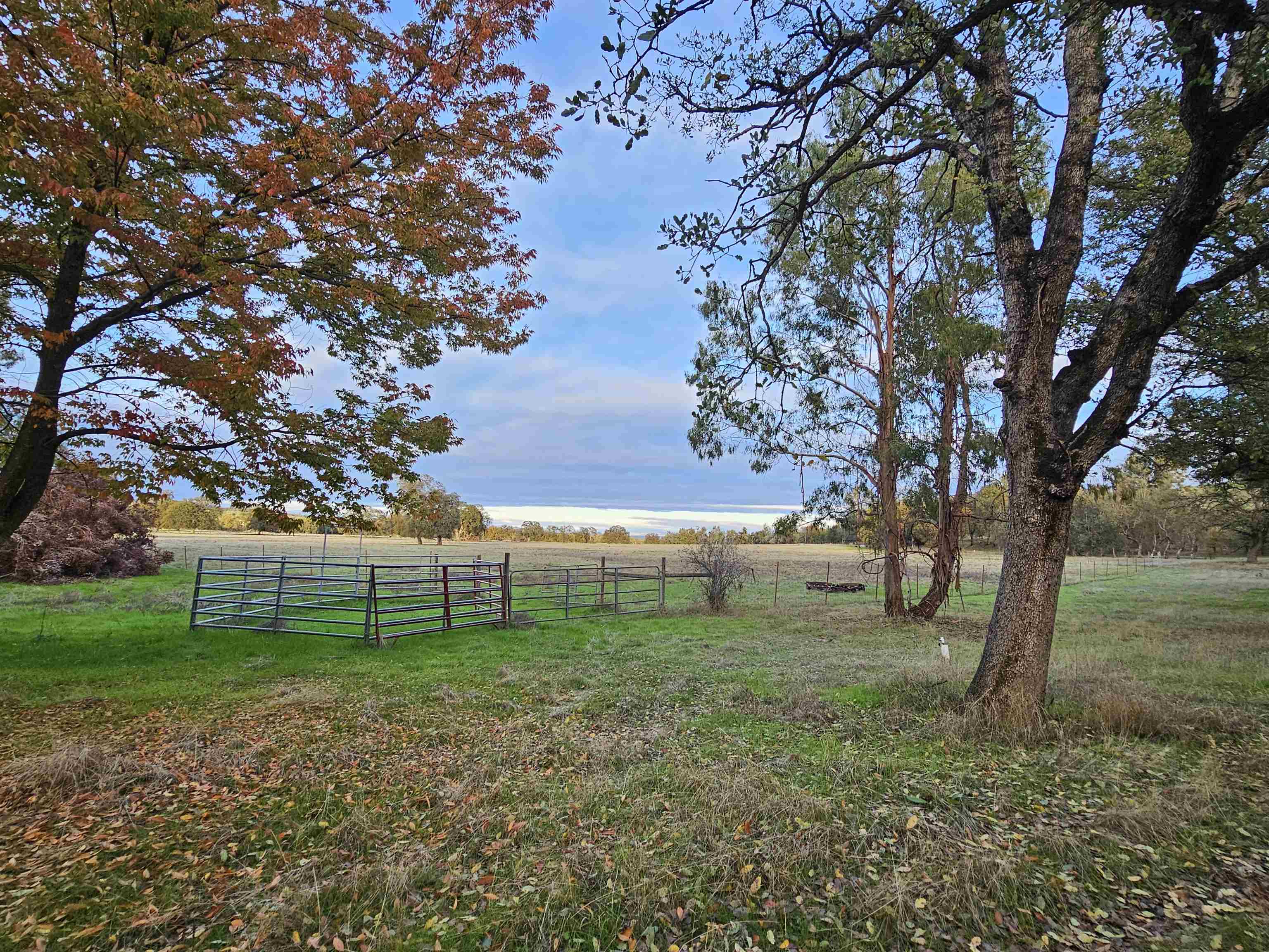17300 Red Bank Road Red Bluff, CA 96080 - Photo 32 of 67