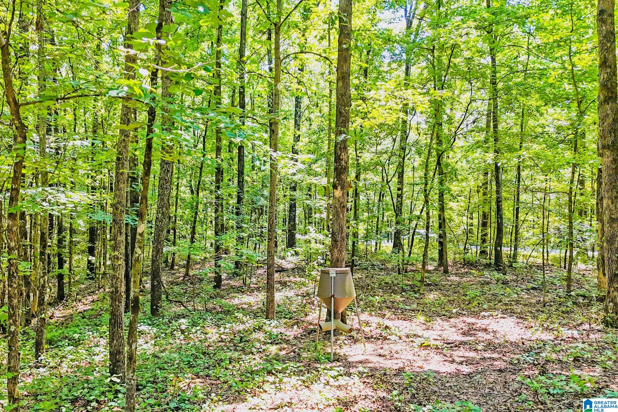 931 Newsome Road Wilsonville, AL 35186 - Photo 12 of 79