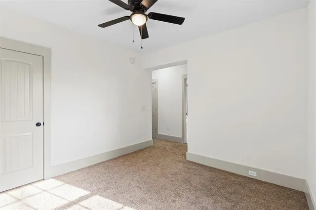 a view of a yard with plants and large trees