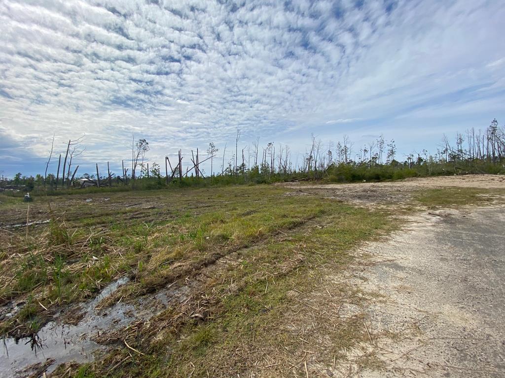 277-295 Sunshine Road Port St. Joe, FL 32456 - Photo 12 of 14