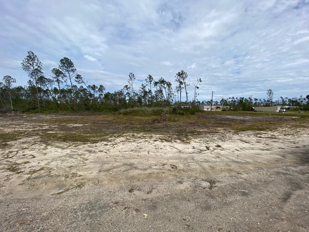 277-295 Sunshine Road Port St. Joe, FL 32456 - Photo 8 of 14