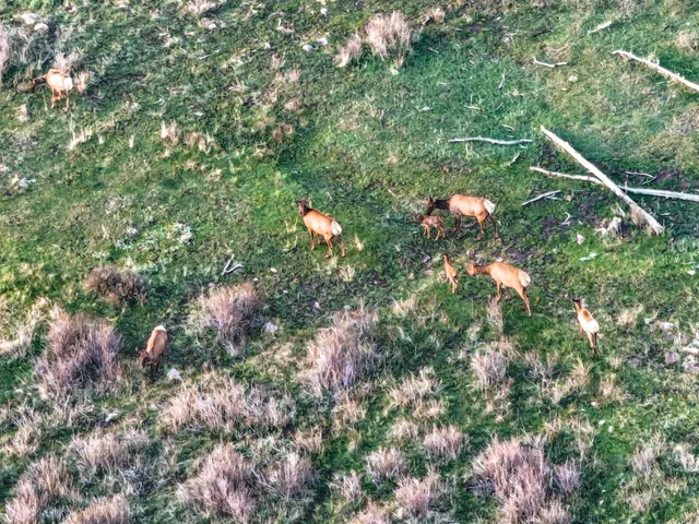 a view of swimming pool from a yard