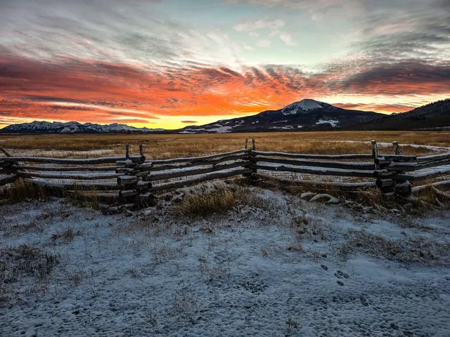 a view of a yard with an outdoor space