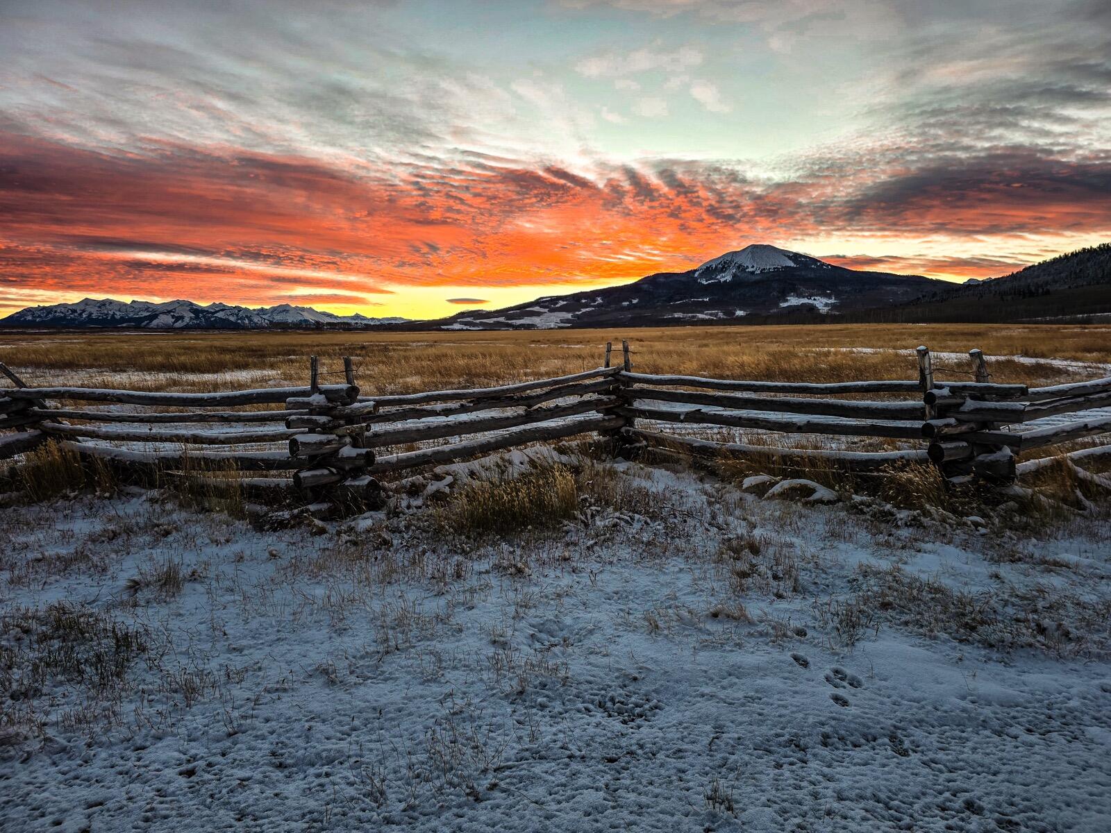 8325 County Rd M44 Placerville, CO 81430 - Photo 18 of 62 a view of a backyard with a tv