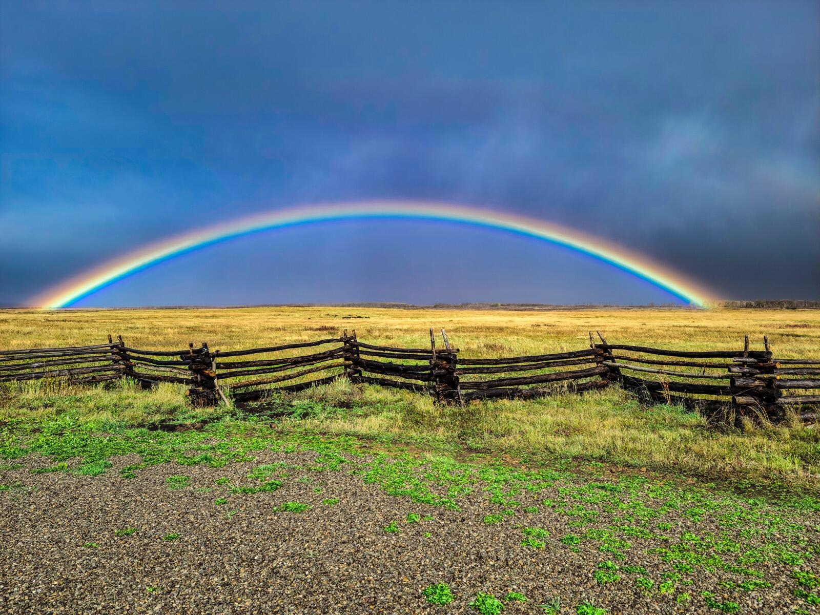 8325 County Rd M44 Placerville, CO 81430 - Photo 19 of 62 telluride-mesa-ranch-colorado-ranch-for-