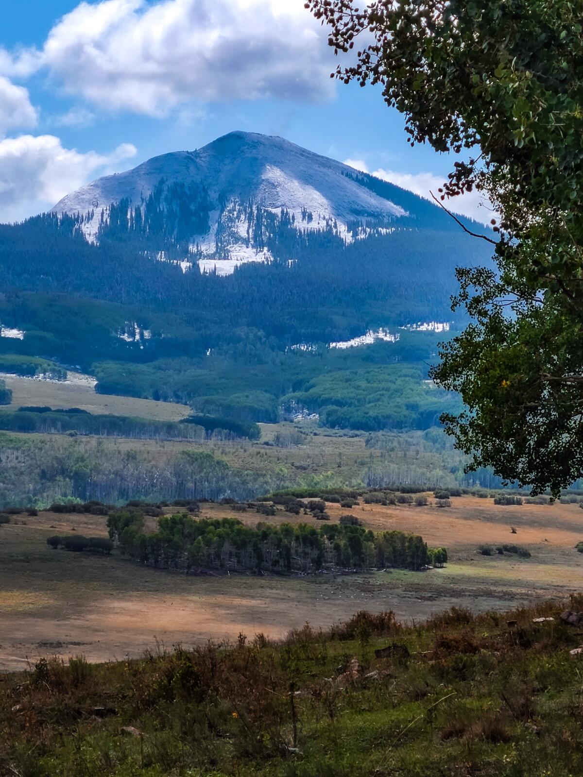 8325 County Rd M44 Placerville, CO 81430 - Photo 22 of 62 a view of a yard with an outdoor space