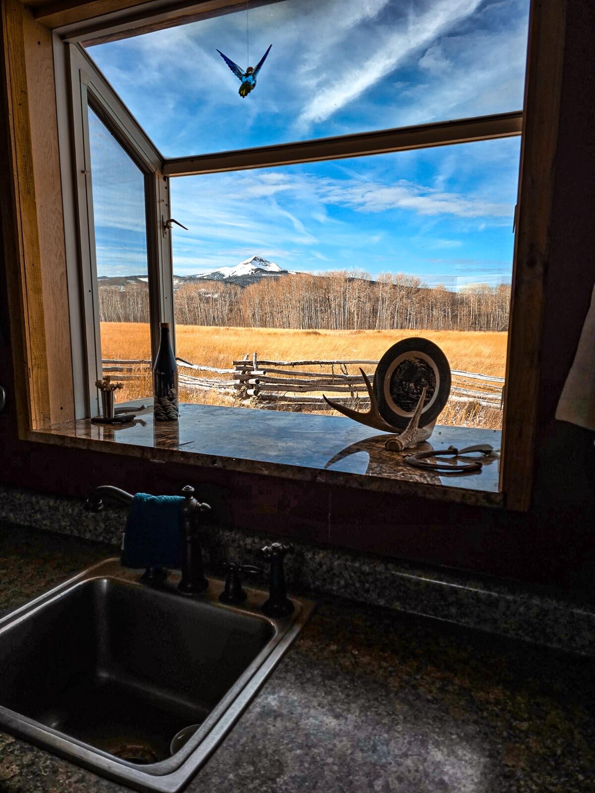 8325 County Rd M44 Placerville, CO 81430 - Photo 25 of 62 a kitchen with a stove and a sink