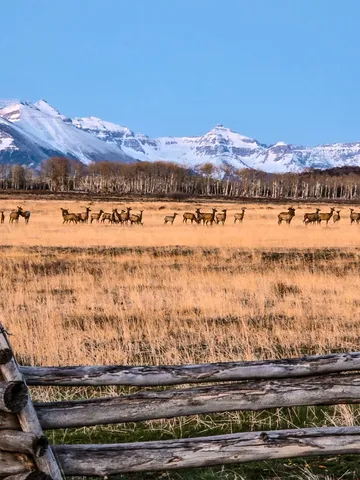 a view of a lake with a mountain in the background