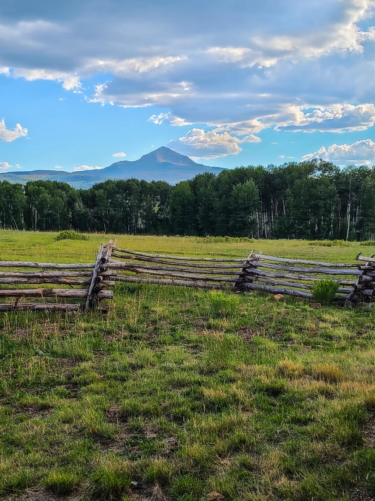 8325 County Rd M44 Placerville, CO 81430 - Photo 28 of 62 a view of a lake with a yard