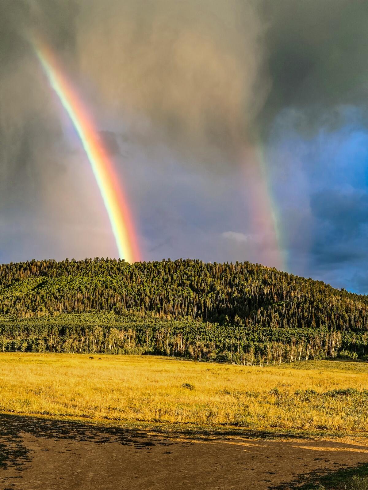 8325 County Rd M44 Placerville, CO 81430 - Photo 29 of 62 a view of an ocean