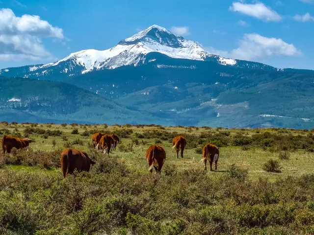 a view of ocean view